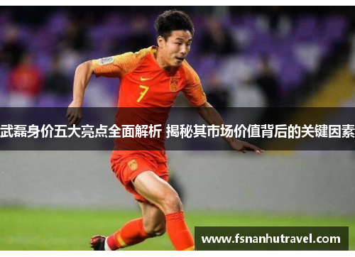 武磊身价五大亮点全面解析 揭秘其市场价值背后的关键因素