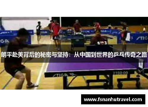 朗平赴美背后的秘密与坚持：从中国到世界的乒乓传奇之路